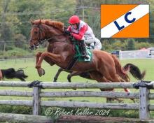 Steeplechae Jump Photo