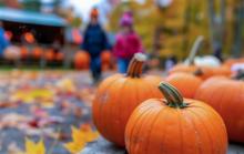 Pumpkin Festival Photo