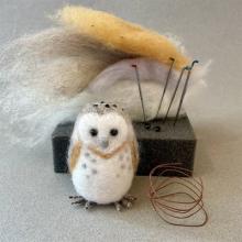 Barn Owl example Photo
