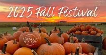 Pumpkins at Magnolia Meadow Farms Photo