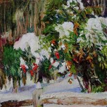 Snowbound by Jeanne Powell Photo