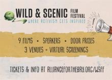 WSFF flyer  Photo