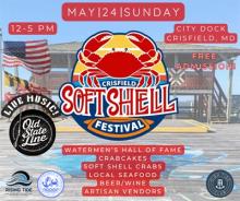 2026 Crisfield Soft Shell Festival  Photo