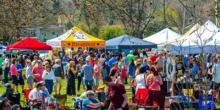 Lock House Beer & Wine Festival Photo