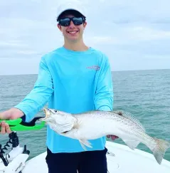 Seatrout