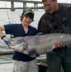 Catfishing in Maryland