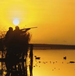 Two ducks hunters during sunset