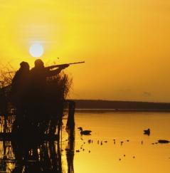 Two ducks hunters during sunset