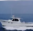 "Fish Finder" Photo