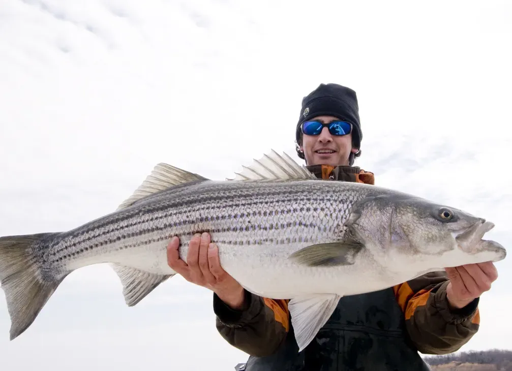 Man holding small mouth bass