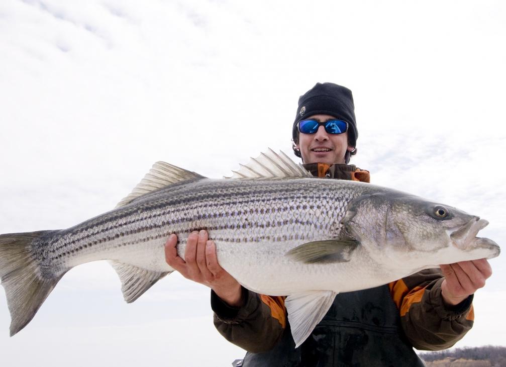 Fishing for Chesapeake Bay School Rockfish –