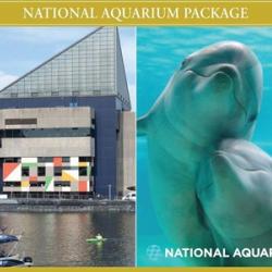 Aquarium Package Photo