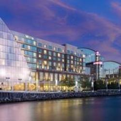 Westin National Harbor Photo