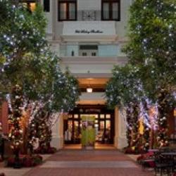 senior holiday Photo