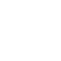 Bear Icon