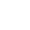 Duck Icon
