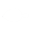 Flounder